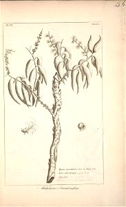 n16_w1150