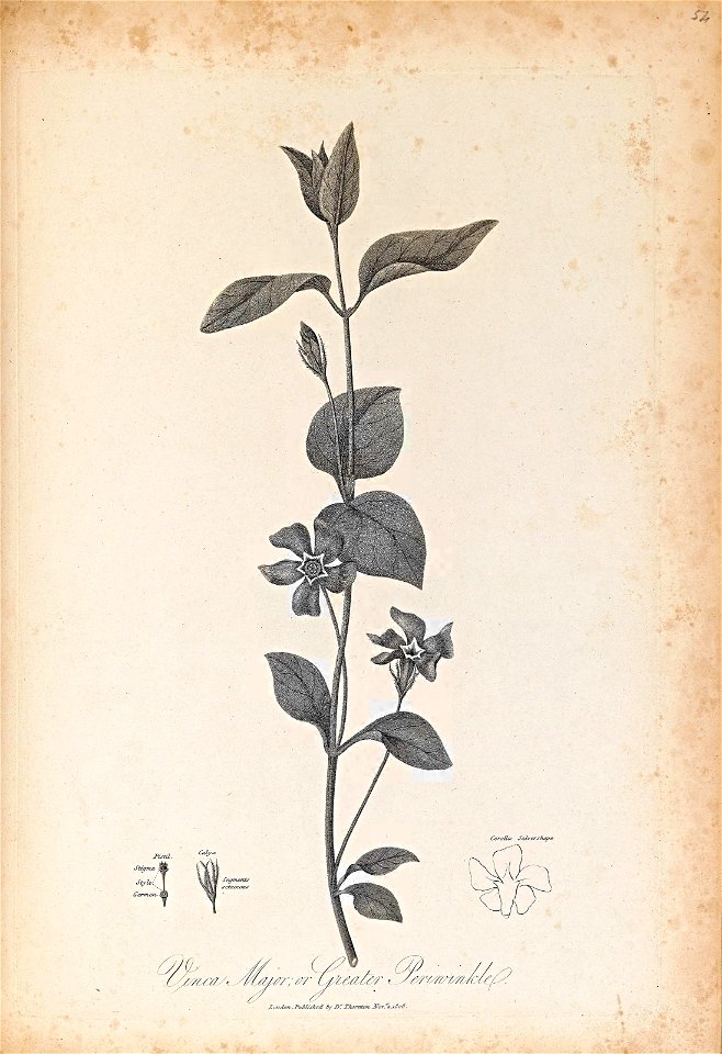 n381_w1150