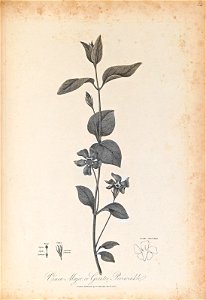 n381_w1150