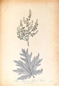 n435_w1150