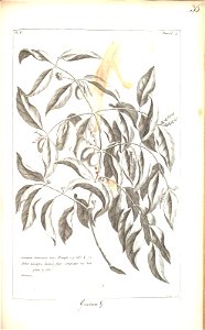 n135_w1150