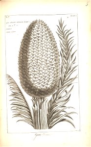 n105_w1150