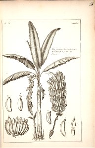 n59_w1150