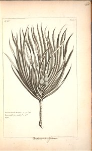 n44_w1150