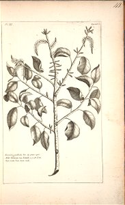n43_w1150