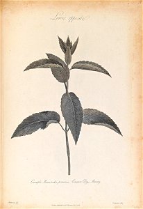 n405_w1150