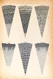 n427_w1150