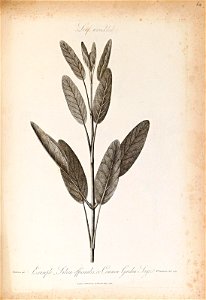 n401_w1150