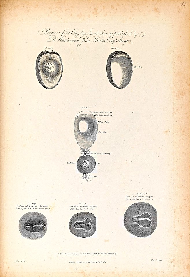n399_w1150