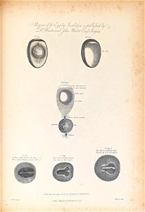 n399_w1150
