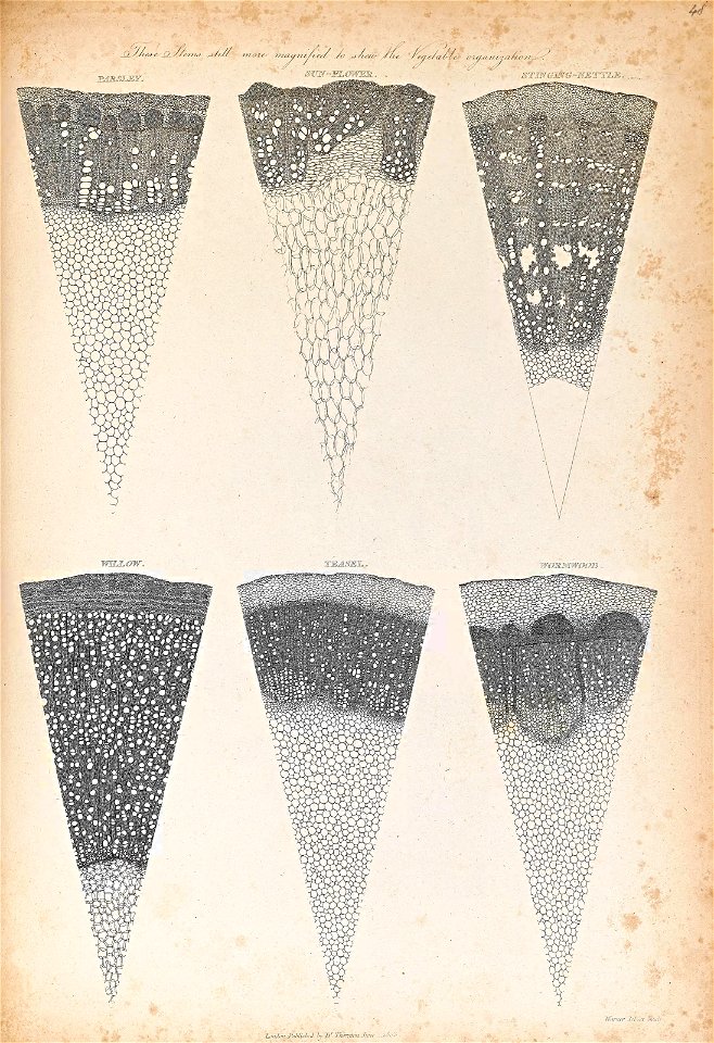 n370_w1150