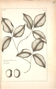 n69_w1150