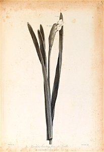 n368_w1150