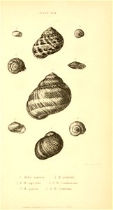 n548_w1150