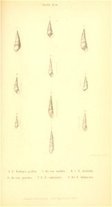 n500_w1150