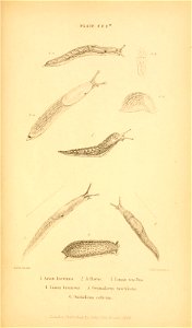 n664_w1150