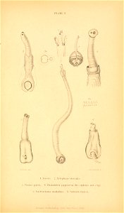 n574_w1150