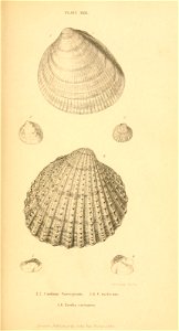 n378_w1150