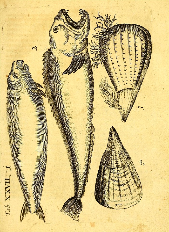 n122_w1150