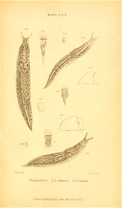 n662_w1150