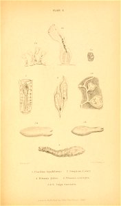 n572_w1150