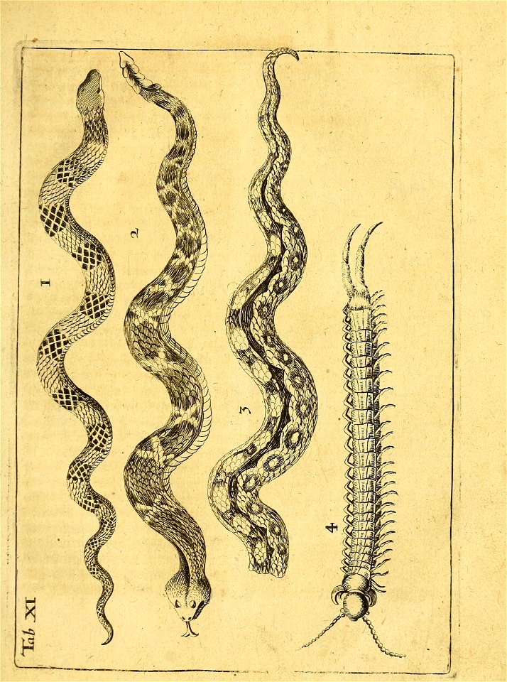 n56_w1150