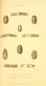 n434_w1150
