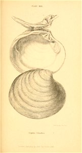 n374_w1150
