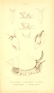 n628_w1150