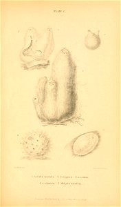 n568_w1150