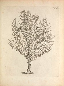 n258_w1150