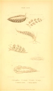 n656_w1150