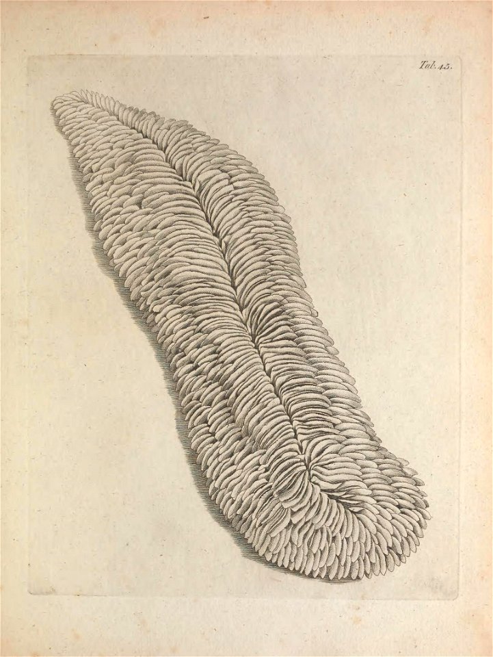 n316_w1150