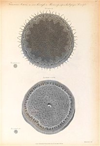 n324_w1150