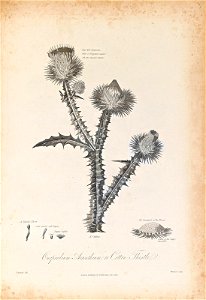 n352_w1150