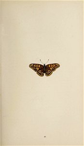 n158_w1150