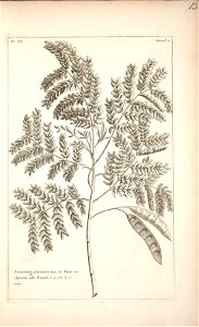 n14_w1150