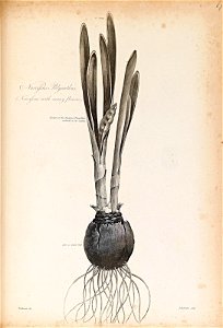 n407_w1150