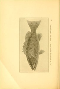 n587_w1150
