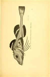 n716_w1150