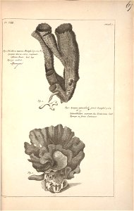 n68_w1150