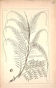n53_w1150