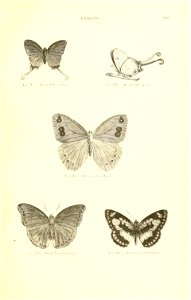 n388_w1150