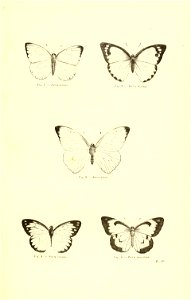 n158_w1150