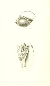 n207_w1150