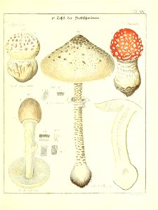 n44_w1150