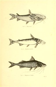 n366_w1150