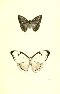 n278_w1150