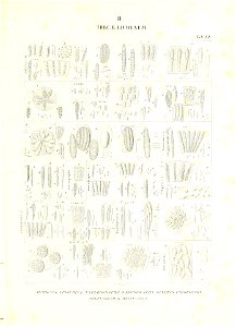 n546_w1150
