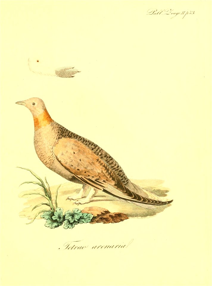 n402_w1150